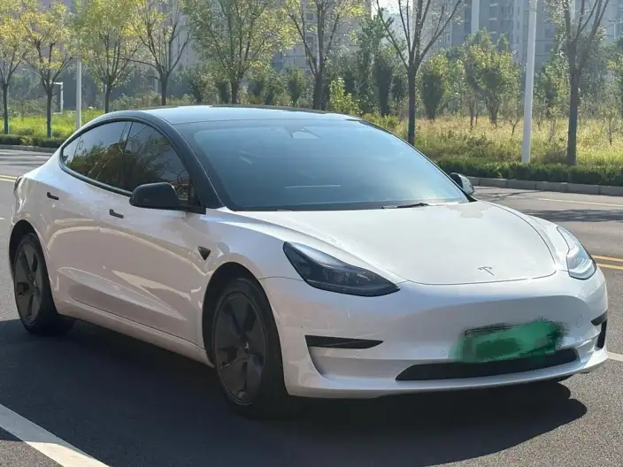 Model 3 2022 Model Rear-wheel drive version – фото 3