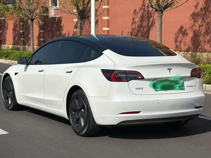 Model 3 2022 Model Rear-wheel drive version – фото 5