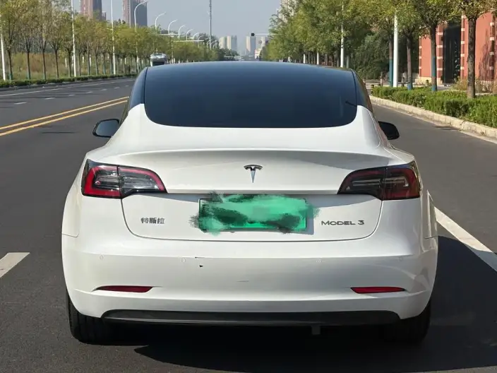 Model 3 2022 Model Rear-wheel drive version – фото 6