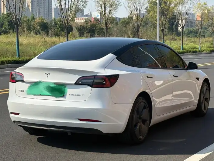 Model 3 2022 Model Rear-wheel drive version – фото 7