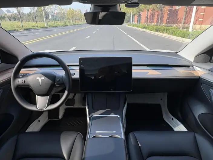 Model 3 2022 Model Rear-wheel drive version – фото 9