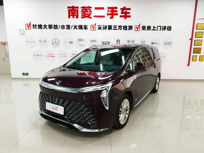 Century 2023 Model 2.0T VI seat Yunshi Edition – фото 1