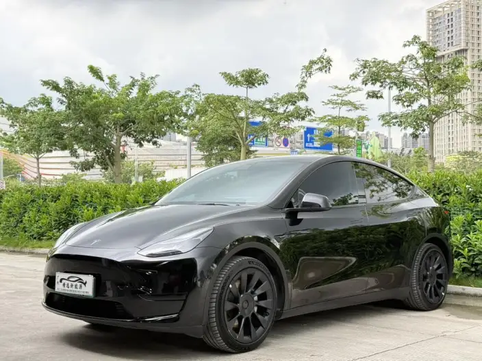 Model Y 2022 Model Facelift Rear-wheel drive version – фото 1