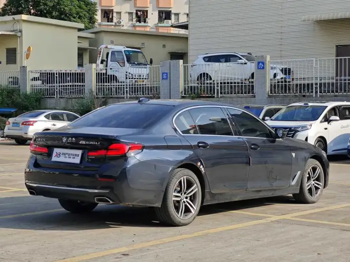 BMW 5 Series 2021 Model Facelift 530Li Leading Model Luxury Set – фото 7