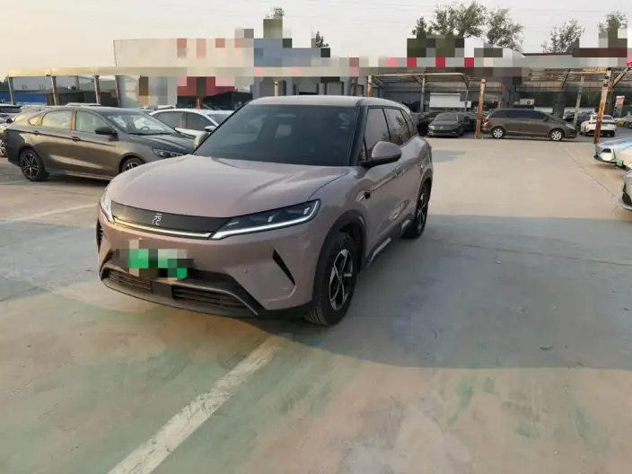 Yuan UP 2025 Model Smart Driving Edition 401KM Leading Model