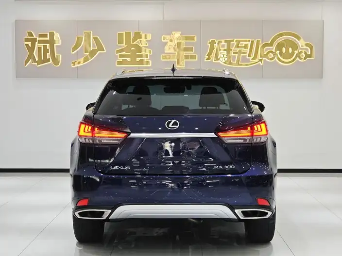 Lexus RX 2020 Model Facelift 300 4WD Elegant Edition – фото 5