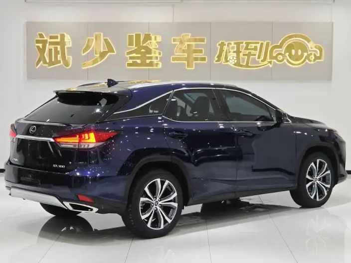 Lexus RX 2020 Model Facelift 300 4WD Elegant Edition – фото 6