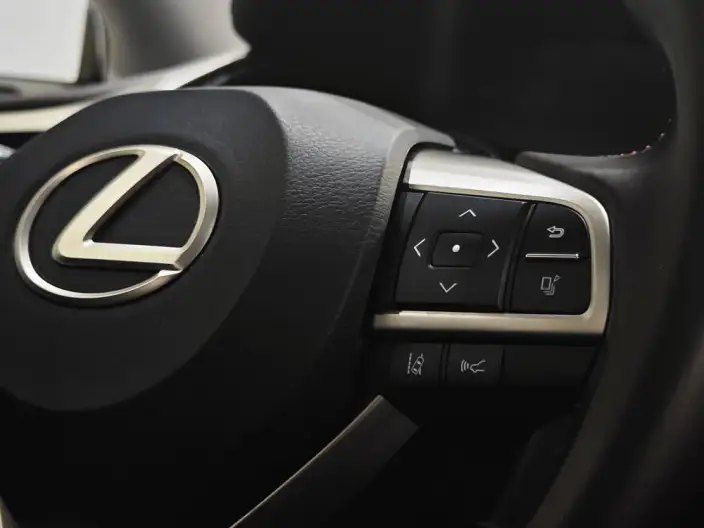 Lexus RX 2020 Model Facelift 300 4WD Elegant Edition – фото 8
