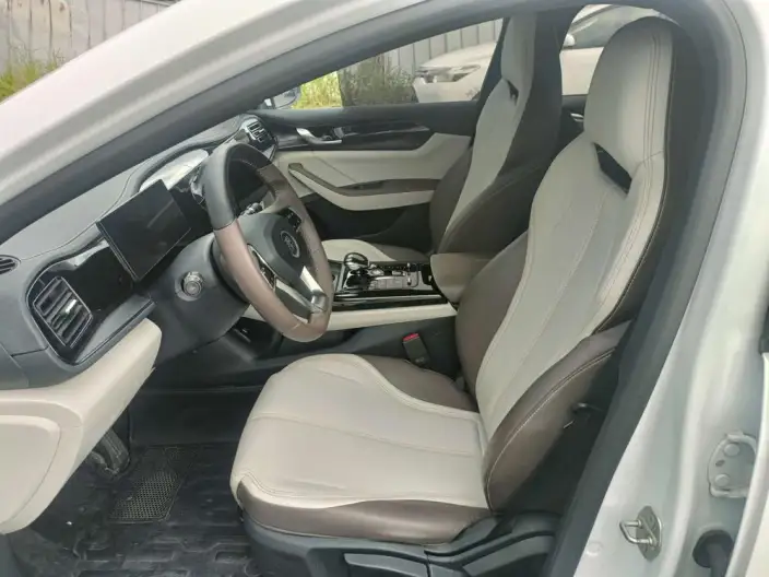 BYD Qin PLUS DM 2023 Model DM-i Champion Edition 55KM Leading Model – фото 9