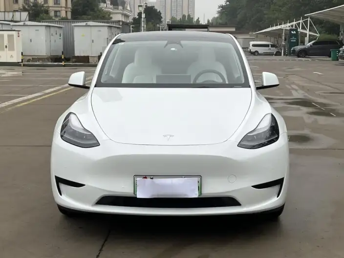 Model Y 2022 Model Facelift Rear-wheel drive version