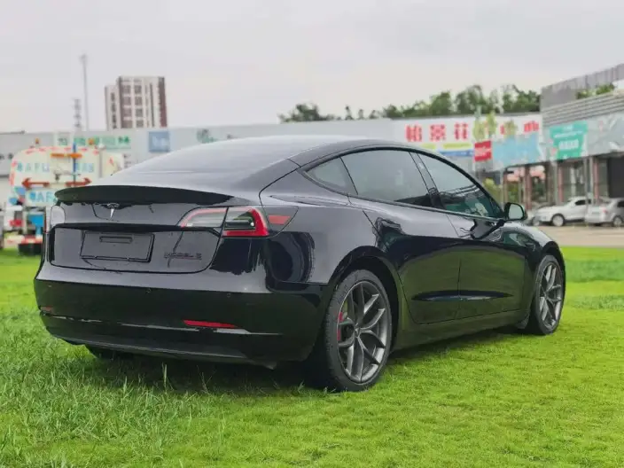 Model 3 2022 Model Performance High performance All-wheel drive version – фото 6