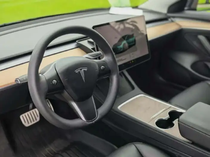 Model 3 2022 Model Performance High performance All-wheel drive version – фото 8