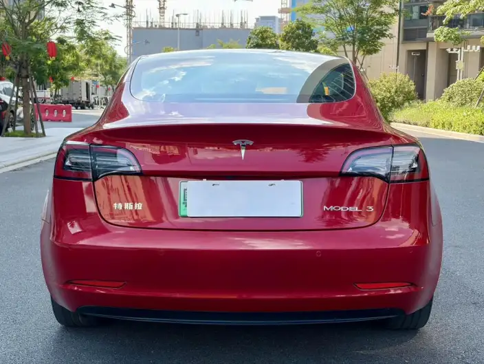 Model 3 2021 Model Standard Battery Life Rear Drive L Class Edition – фото 5