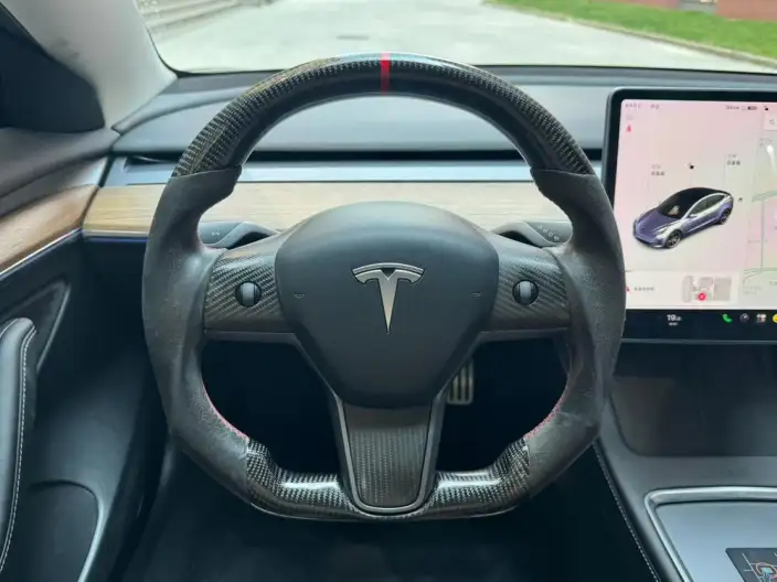 Model 3 2021 Model Performance High performance All-wheel drive version – фото 7