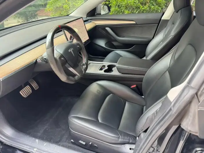 Model 3 2021 Model Performance High performance All-wheel drive version – фото 8
