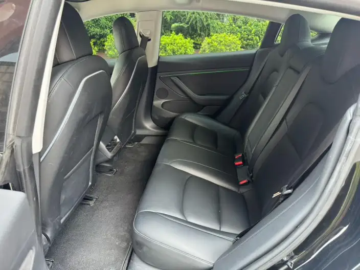 Model 3 2021 Model Performance High performance All-wheel drive version – фото 9