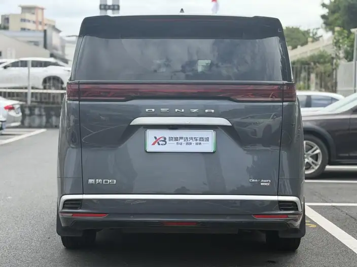 DENZA D9 DM 2025 Model Smart Driving Edition 1020 4WD Exclusive Model – фото 6
