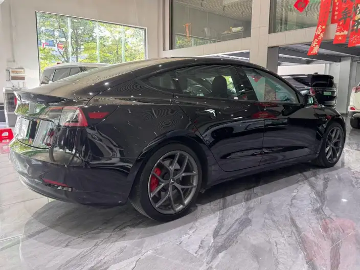 Model 3 2022 Model Performance High performance All-wheel drive version – фото 6