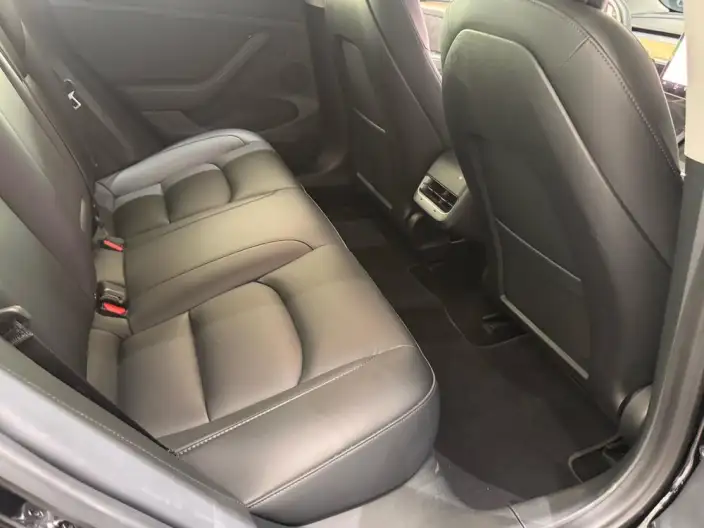 Model 3 2022 Model Performance High performance All-wheel drive version – фото 10