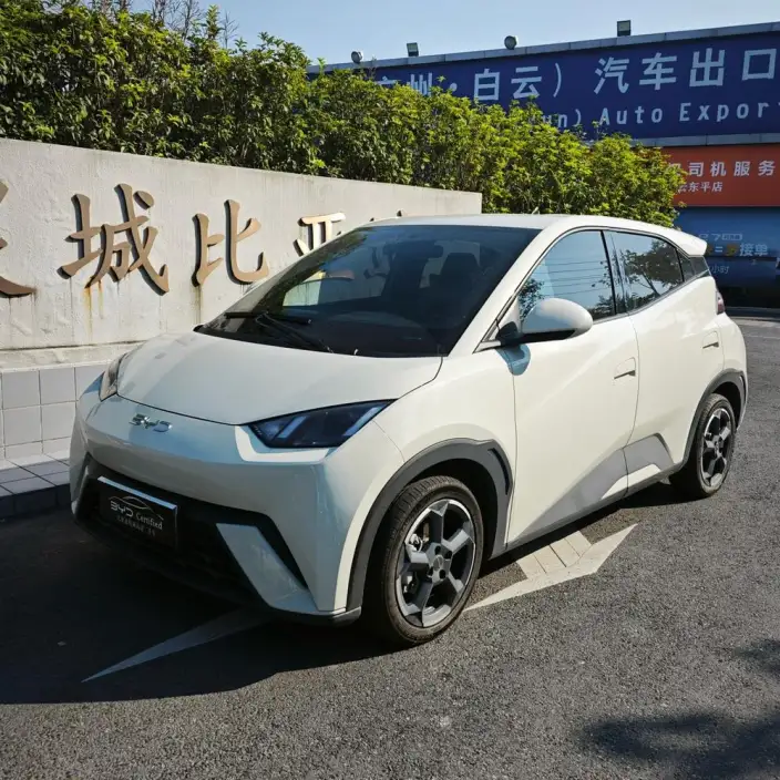 BYD Seagull 2024 Model Honor Edition 305KM Free Edition