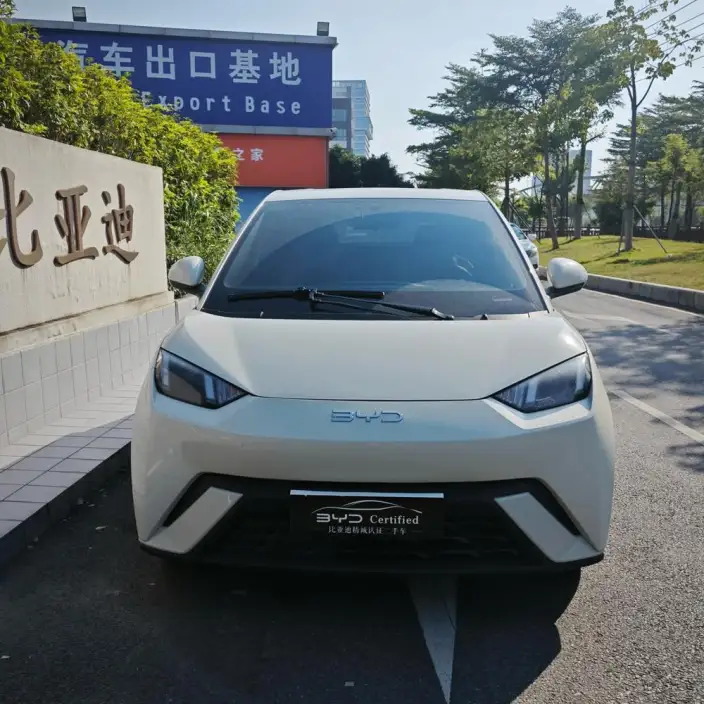 BYD Seagull 2024 Model Honor Edition 305KM Free Edition
