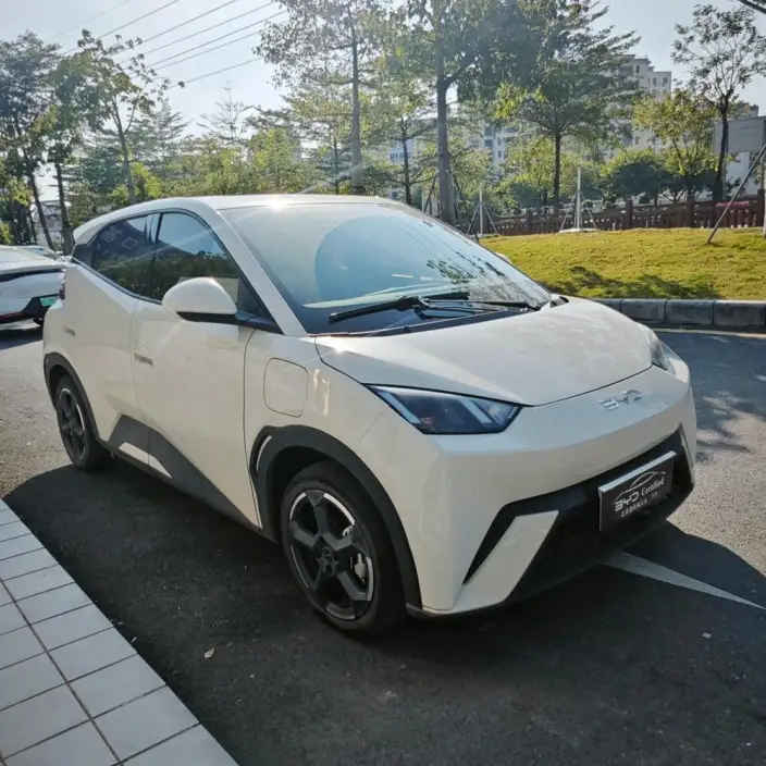 BYD Seagull 2024 Model Honor Edition 305KM Free Edition
