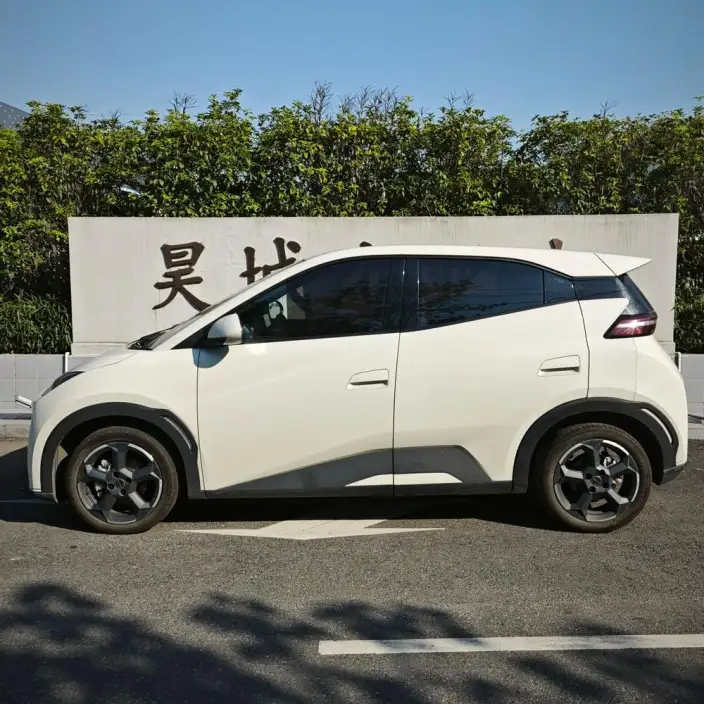 BYD Seagull 2024 Model Honor Edition 305KM Free Edition