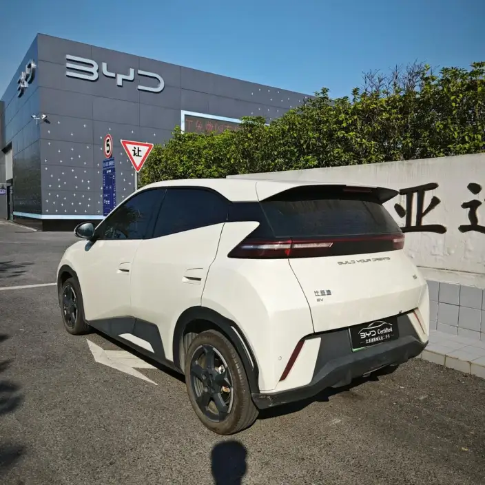 BYD Seagull 2024 Model Honor Edition 305KM Free Edition – фото 5