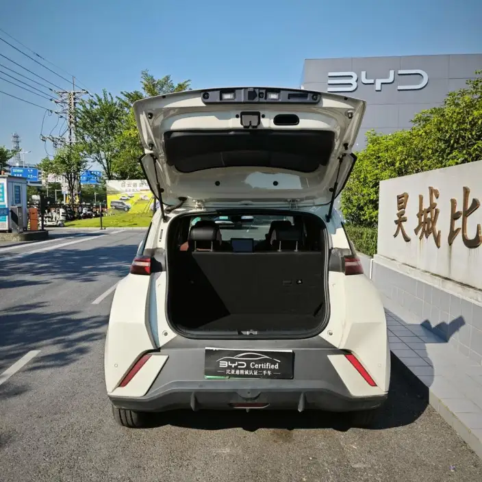 BYD Seagull 2024 Model Honor Edition 305KM Free Edition – фото 6