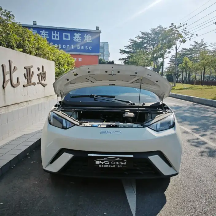 BYD Seagull 2024 Model Honor Edition 305KM Free Edition – фото 10