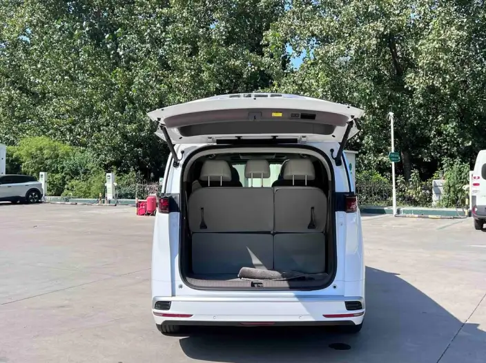 DENZA D9 DM 2022 Model 1040 Noble Model – фото 6