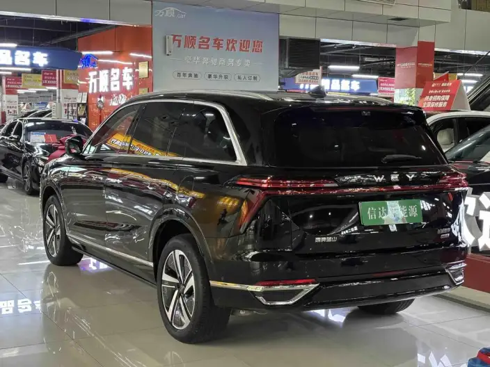 Wey Blue Mountain 2025 Model 4WD Max – фото 2