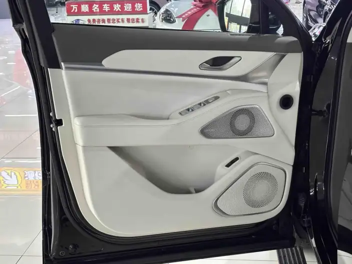 Wey Blue Mountain 2025 Model 4WD Max – фото 5