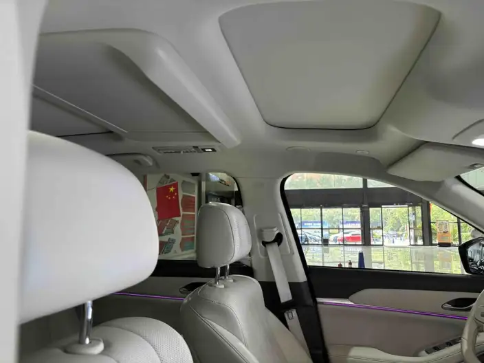 Wey Blue Mountain 2025 Model 4WD Max – фото 7