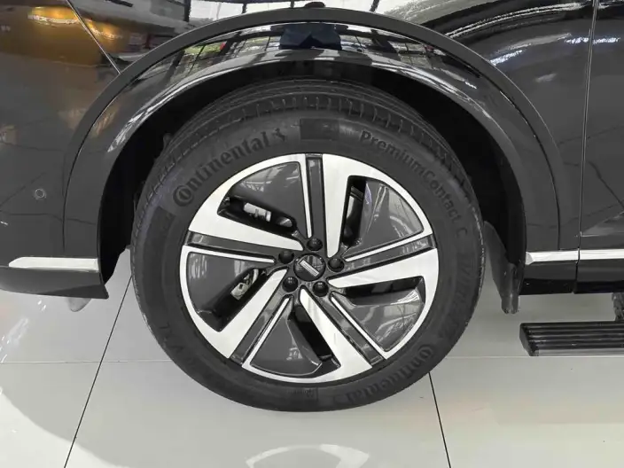 Wey Blue Mountain 2025 Model 4WD Max – фото 10