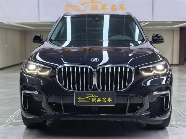 BMW X5 2022 Model Facelift xDrive 30Li M Sports Set