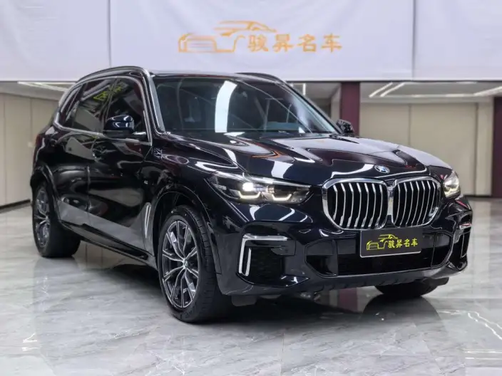 BMW X5 2022 Model Facelift xDrive 30Li M Sports Set