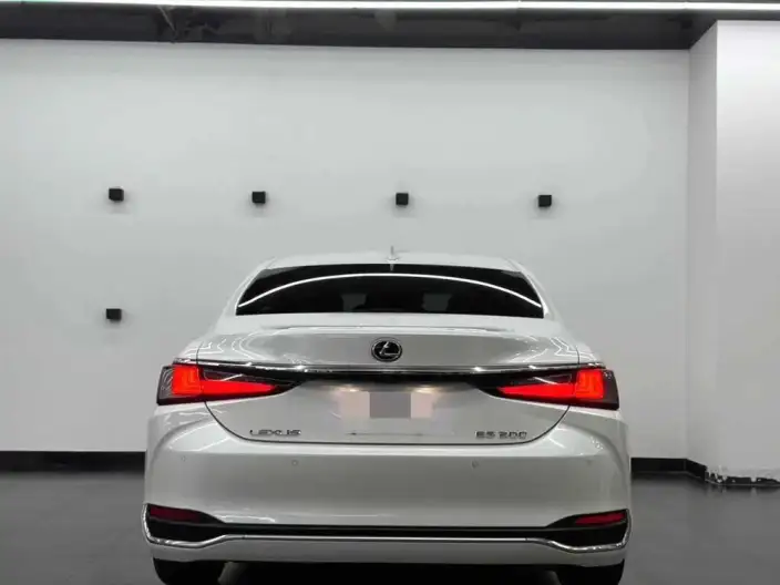 Lexus ES 2020 Model 200 Superior Edition China VI – фото 5