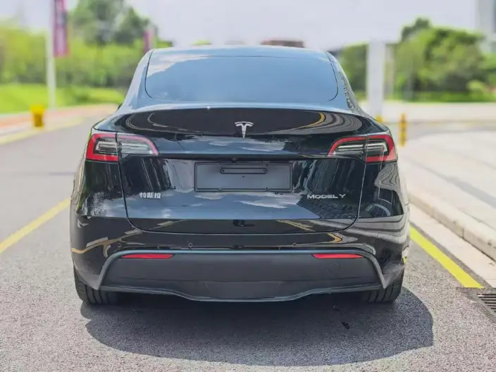 Model Y 2022 Model Rear-wheel drive version – фото 5