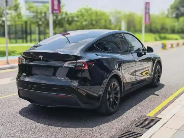 Model Y 2022 Model Rear-wheel drive version – фото 6