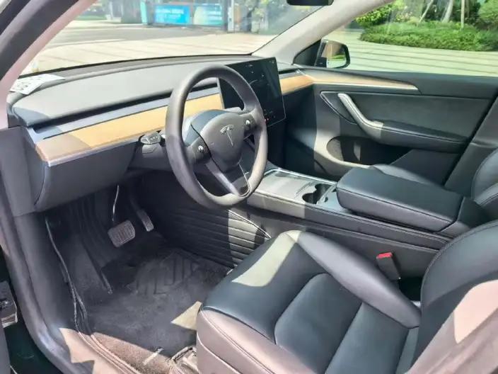 Model Y 2022 Model Rear-wheel drive version – фото 8