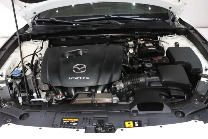 Mazda CX-4 2020 Model 2.5L 2WD SkyActiv Jiaqu Edition – фото 8