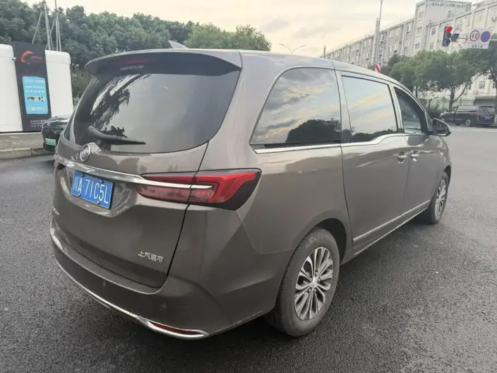 Buick GL8 2020 Model Business class 652T Noble Model – фото 6