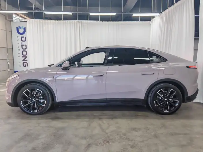 Onvo L60 2025 Model 530km Violet Limited Edition – фото 4