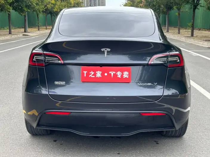 Model Y 2024 Model Long Battery Life Pro All-wheel drive version – фото 5