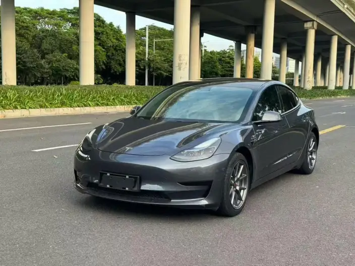 Model 3 2022 Model Rear-wheel drive version