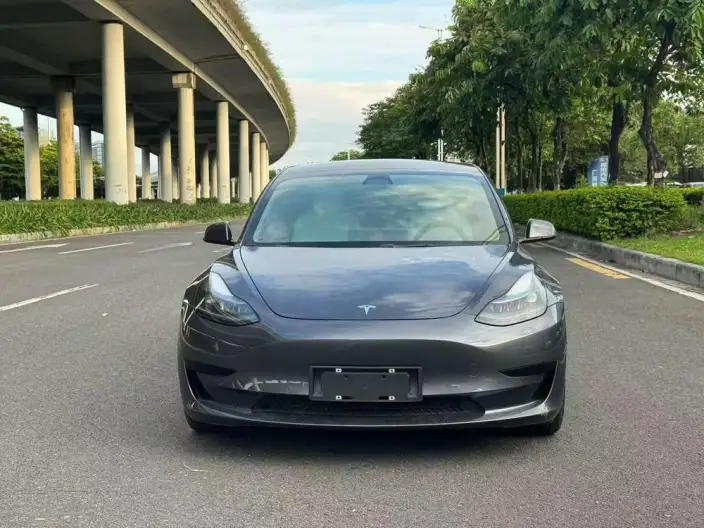 Model 3 2022 Model Rear-wheel drive version