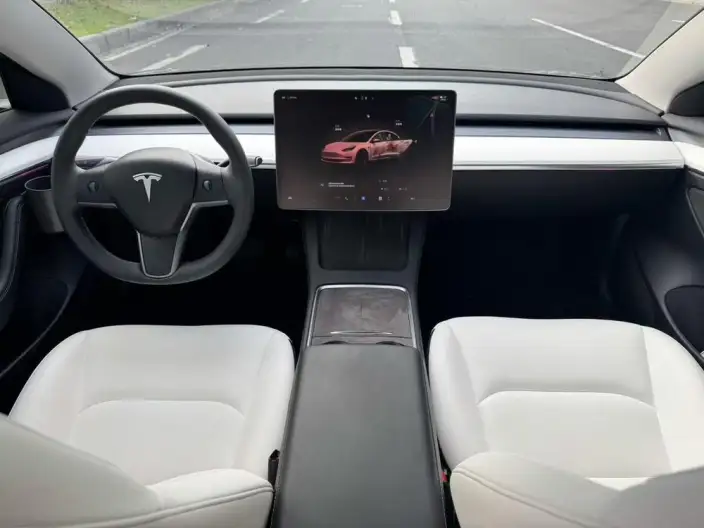 Model 3 2022 Model Rear-wheel drive version – фото 5