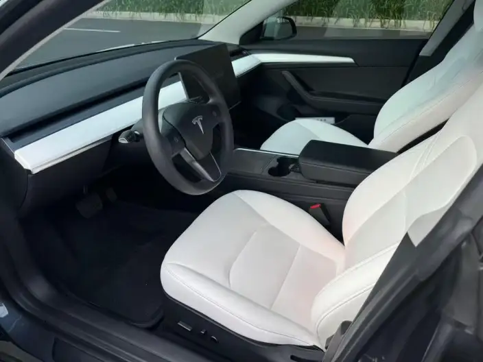 Model 3 2022 Model Rear-wheel drive version – фото 7