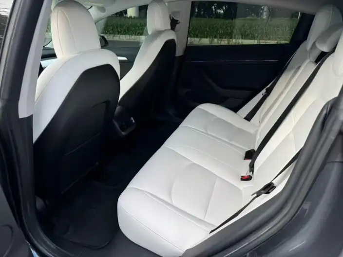 Model 3 2022 Model Rear-wheel drive version – фото 8